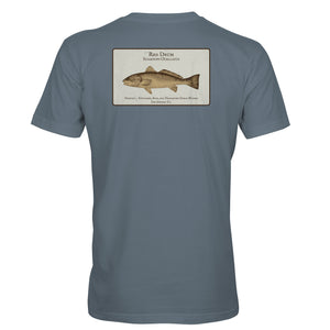 Coastal Study : Redfish