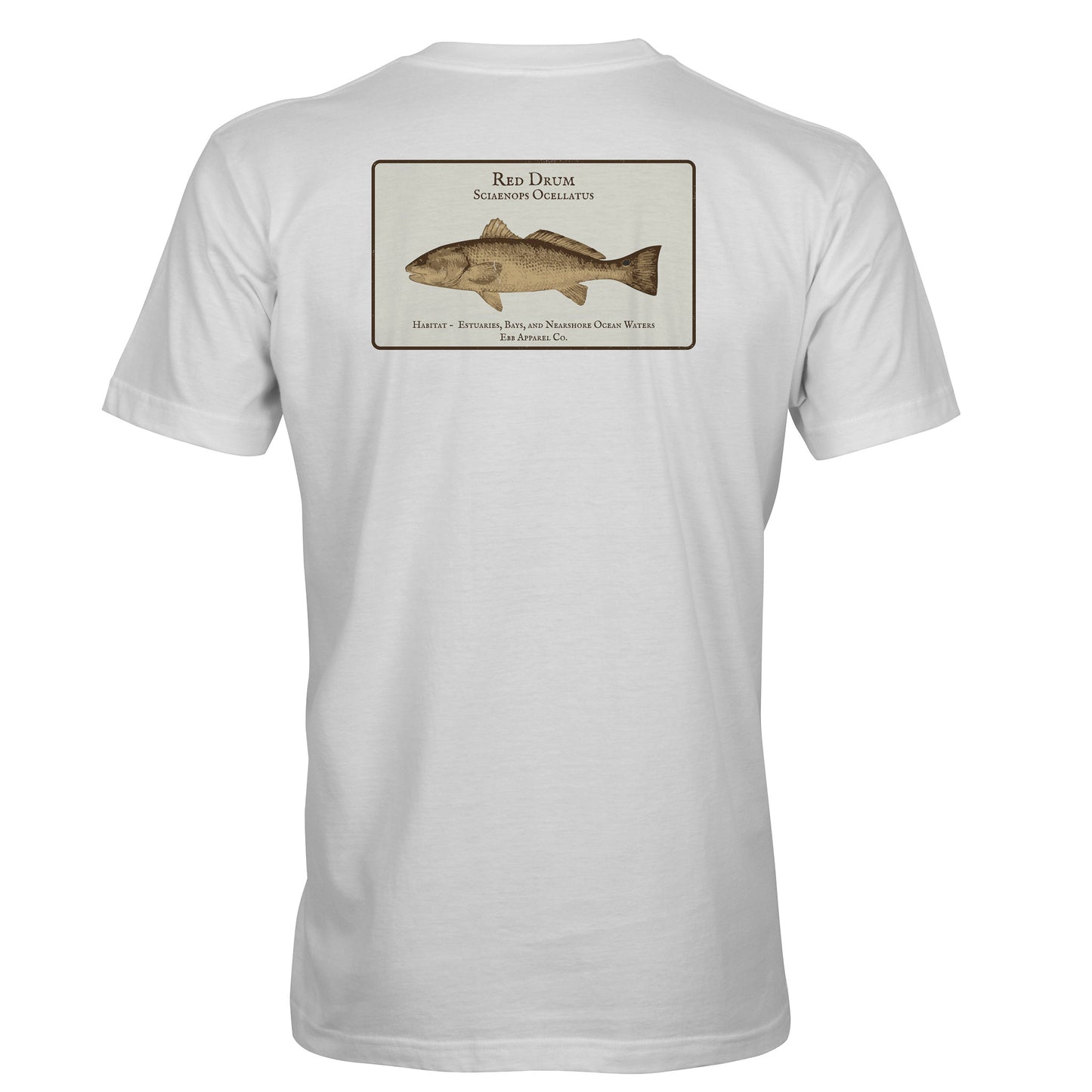 Coastal Study : Redfish