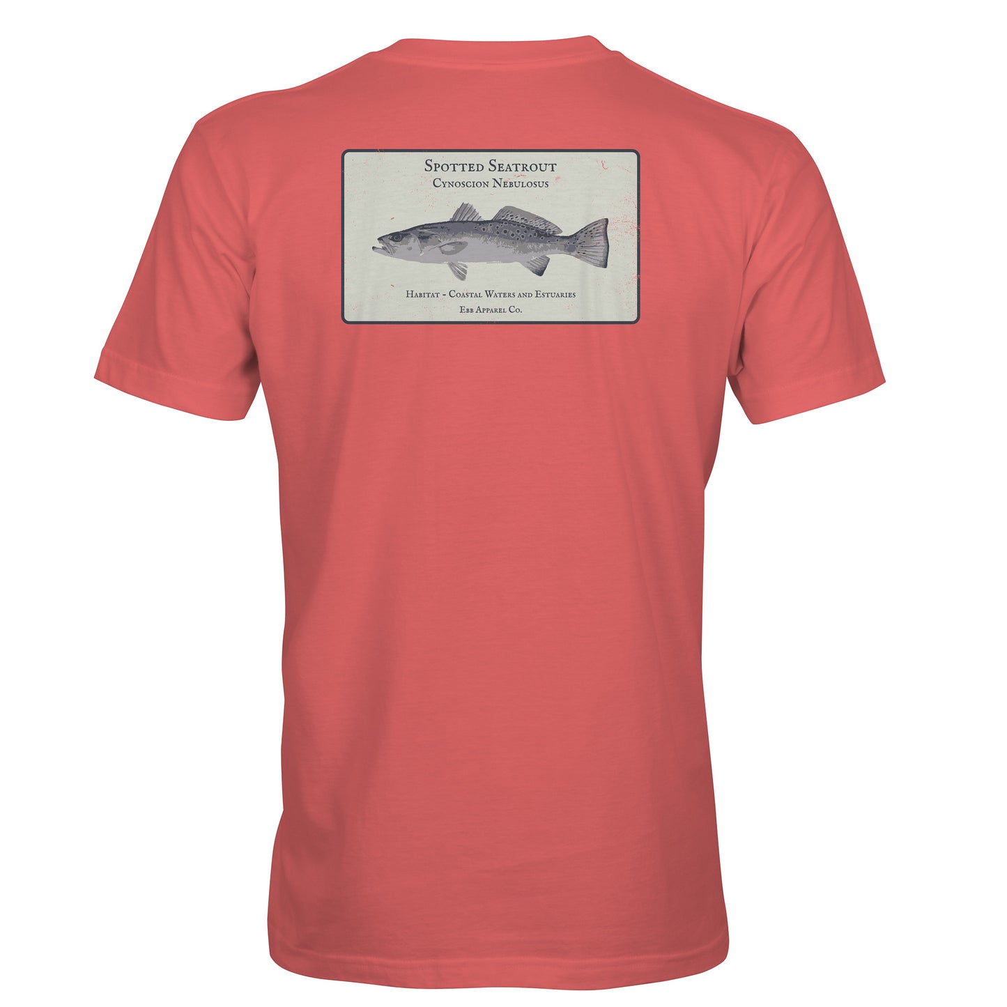 Coastal Study: Seatrout