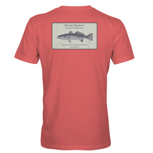Coastal Study: Seatrout